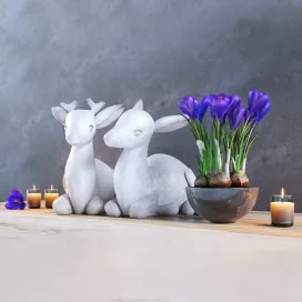 Composition with deer crocuses